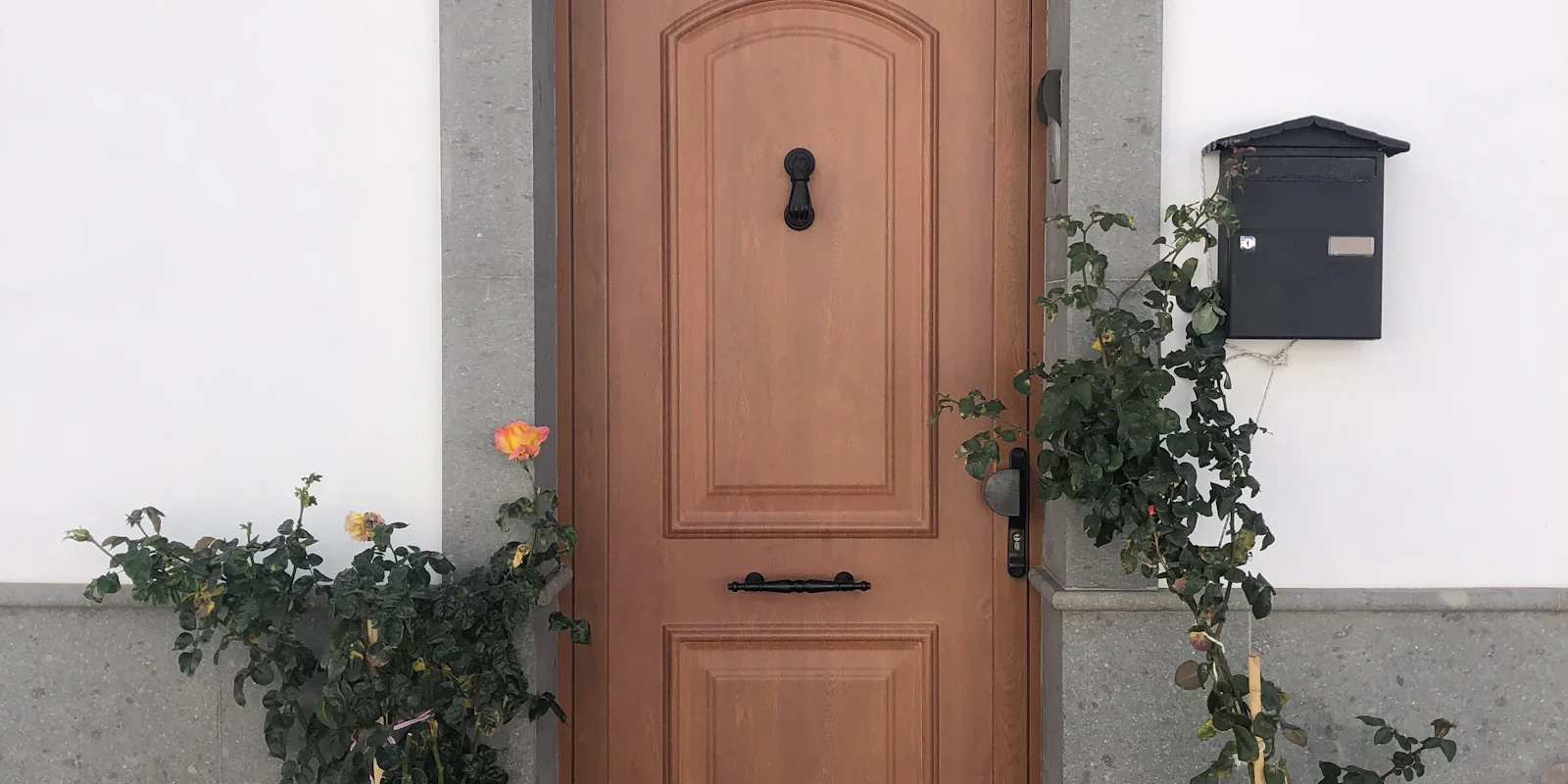 Porte d'entrée en bois d'une maison enduite, à côté d'une plante en pot