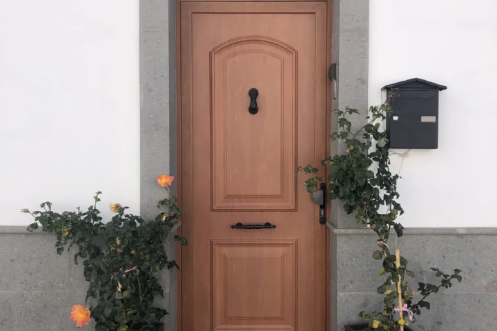 Porte d'entrée en bois d'une maison enduite, à côté d'une plante en pot